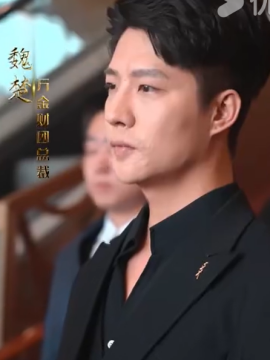 巅峰归来总裁回乡记魏楚