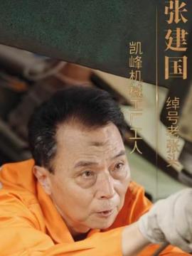 退休返聘之一鸣惊人张建国
