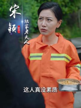 我的三个儿子是大佬宋颖