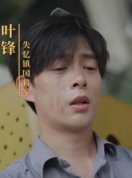 女霸总的贴身将军叶锋