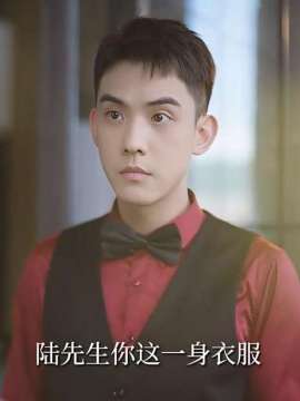 闪婚后戏精夫妻掉马忙陆子吟
