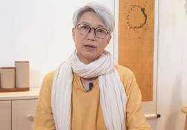 陈敏儿