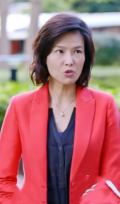 段可风