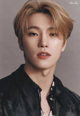 Dino（디노）