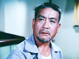 高保成