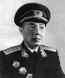 苏振华