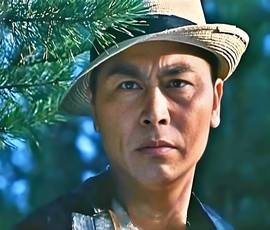 马树超